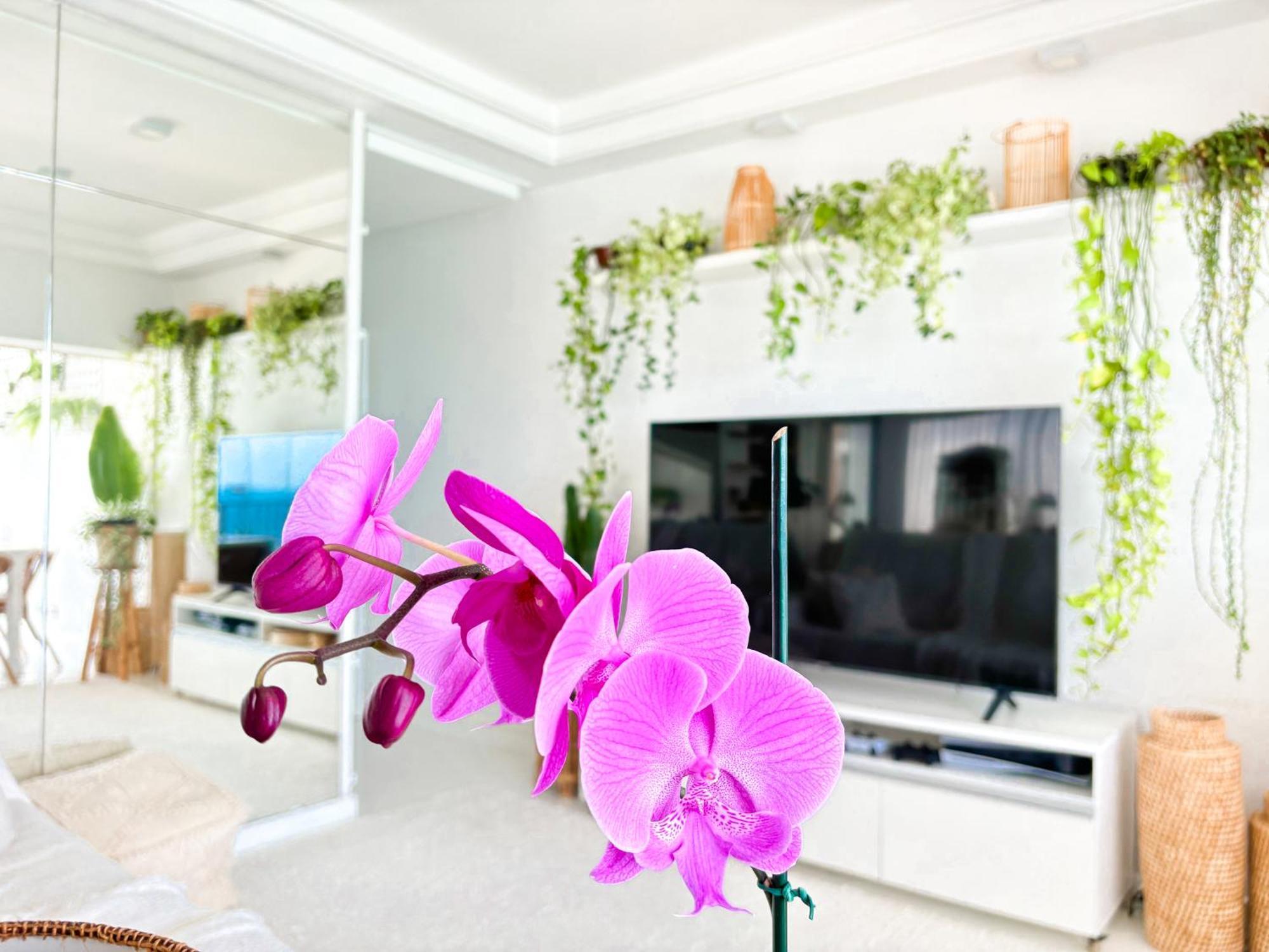 Your Place In Rio Apartamento