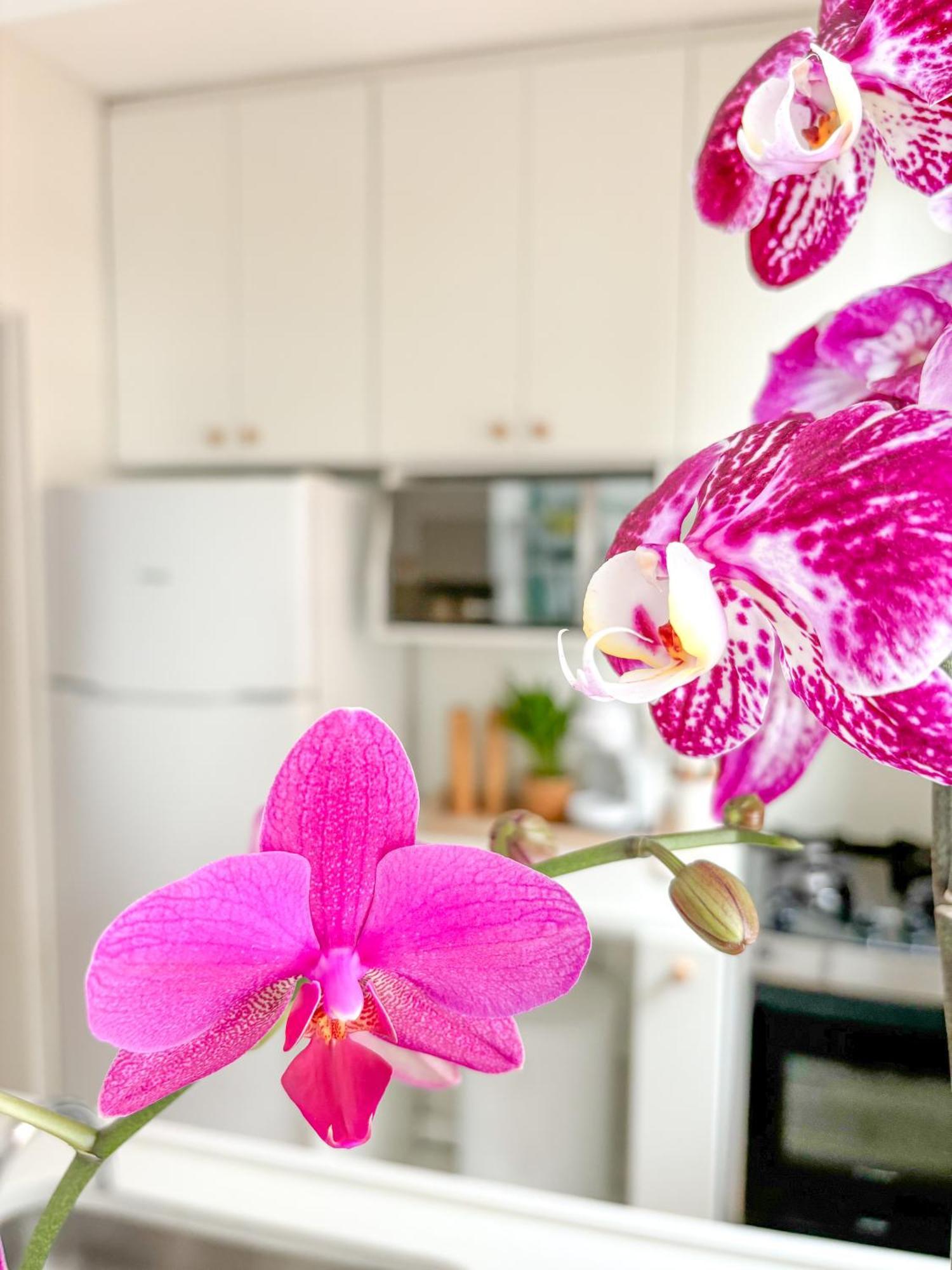 Apartamento Your Place In Rio *
