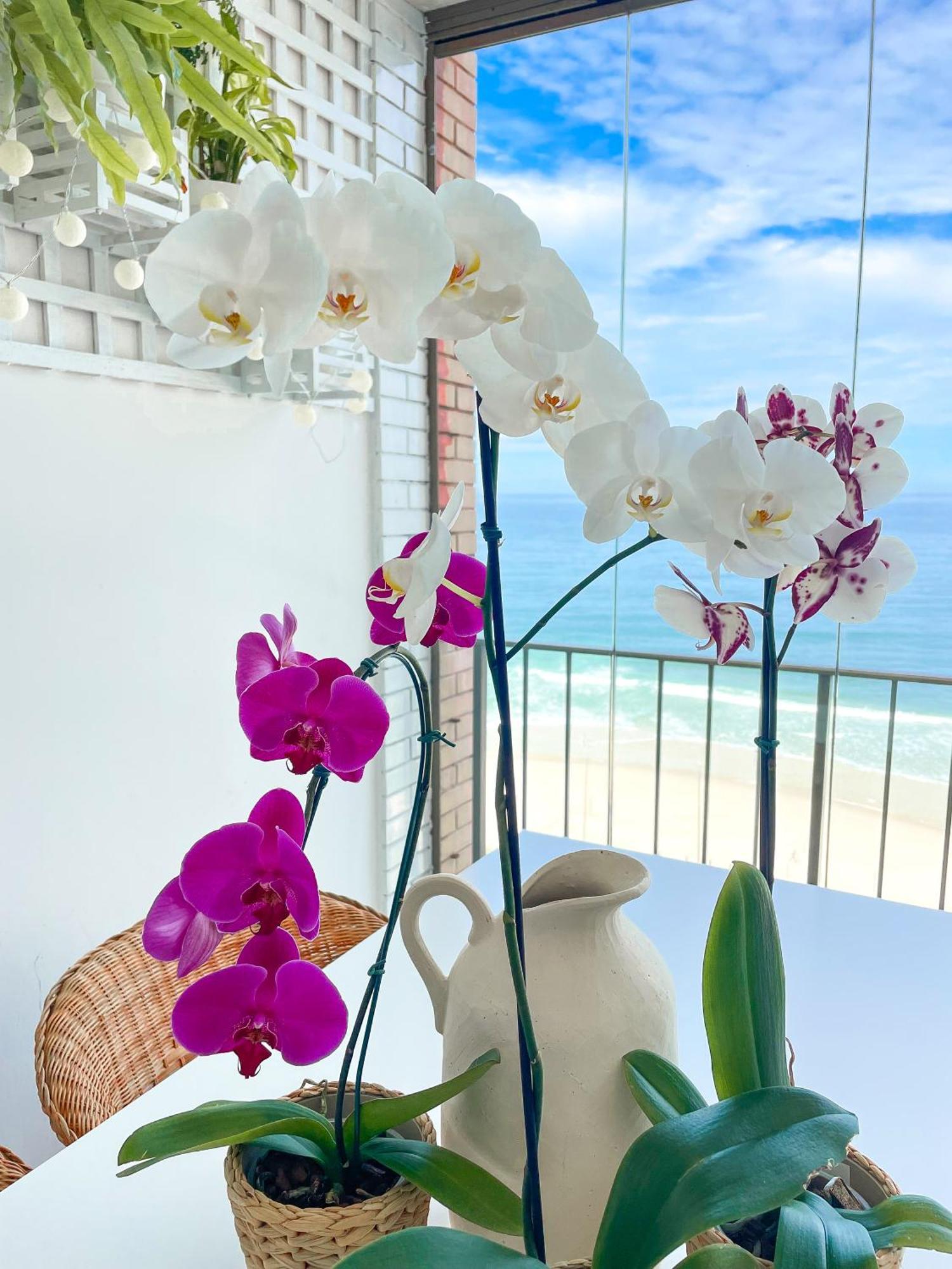Your Place In Rio Appartement