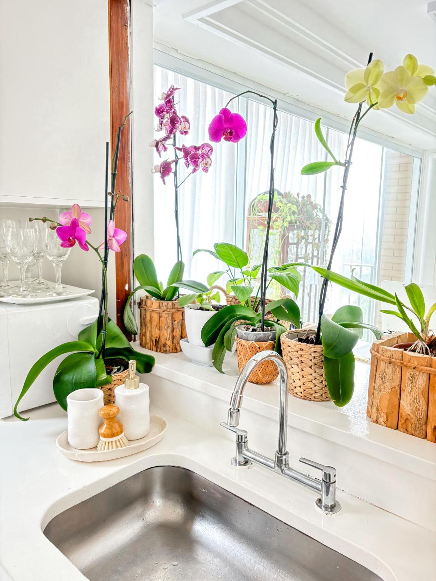 Your Place In Rio Appartement *